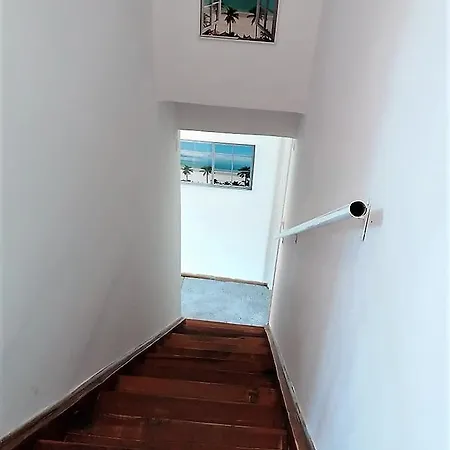 Holiday House